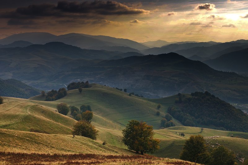 Rolling-hills landscape captured in Poieni, Cluj County (Romania), in golden-hour light: layered hills receding into haze, evening sun filtered through heavy clouds, and a small flock of sheep in the distance. Awarded photograph on 1x.com.