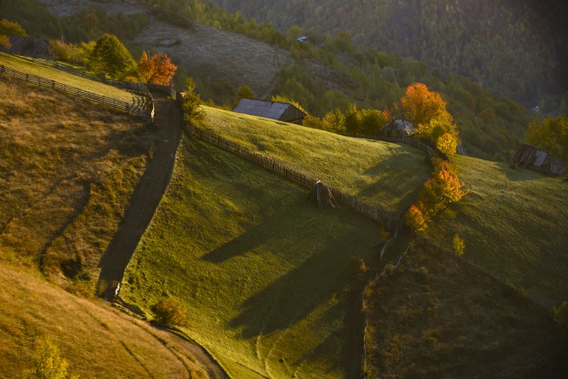 Autumn rural landscape on a steep hillside: winding wooden fence, small houses and trees in autumn colors on the green-yellow slope, long shadows at sunset. Composition with pronounced slope. Awarded photograph on 1x.com.