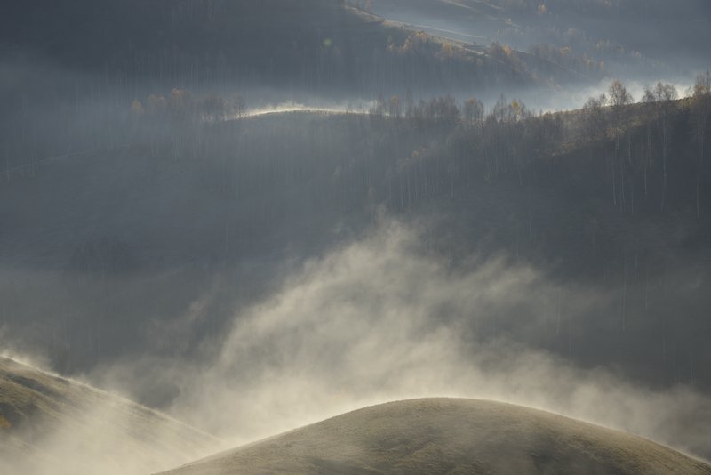 Rolling hills wrapped in waves of thick fog at sunrise, with layered birch and conifer forests. Warm light piercing through fog creating mystical atmosphere. Awarded photograph on 1x.com.