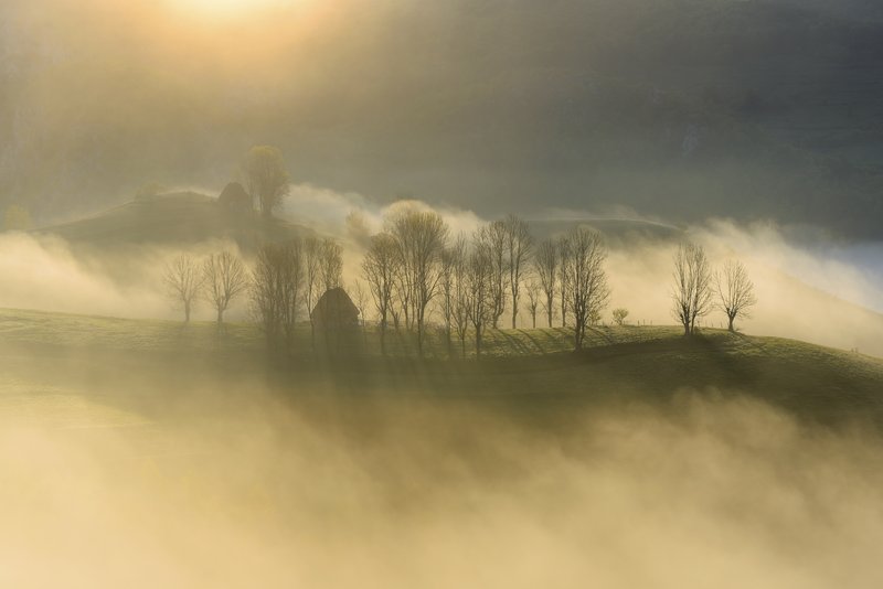 Misty spring landscape: a row of trees on a ridge with a small traditional house among them, layers of fog wrapping the hills at golden hour. Atmospheric composition, side-lit. Awarded photograph on 1x.com.