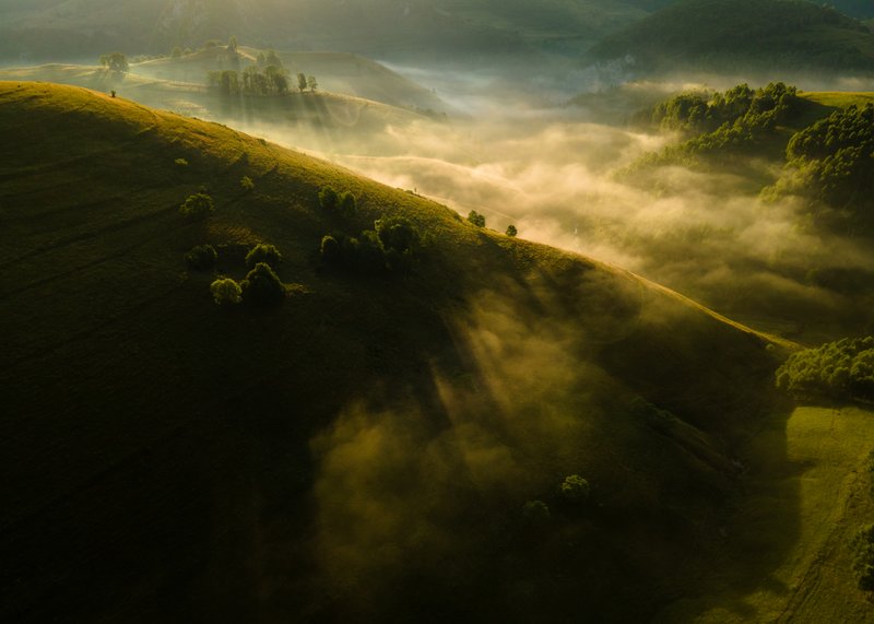 Aerial drone view over the hills of Dumești (Apuseni mountains) at golden hour, with waves of fog flowing through the valleys and sun rays piercing through the trees. Mystical atmosphere. Published on 1x.com.