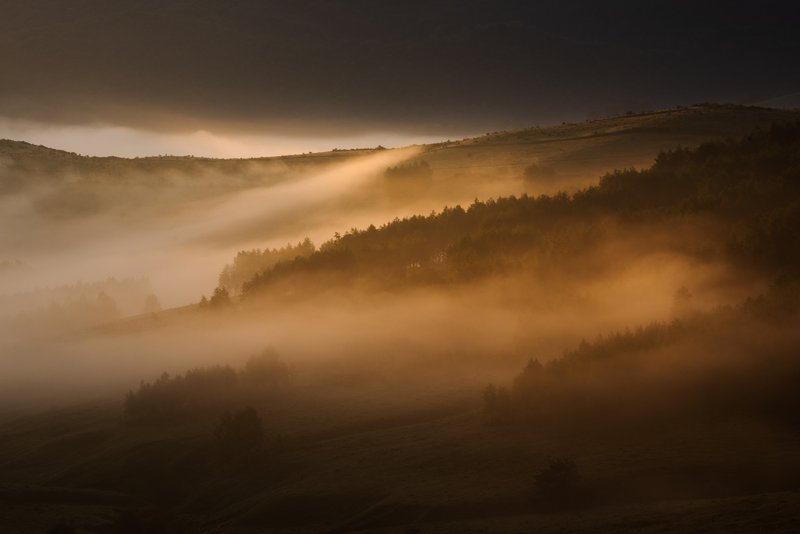 Sunset rays piercing through dense fog over forested hills, creating dramatic light beams. Mystical atmosphere, warm backlight. Published on 1x.com.