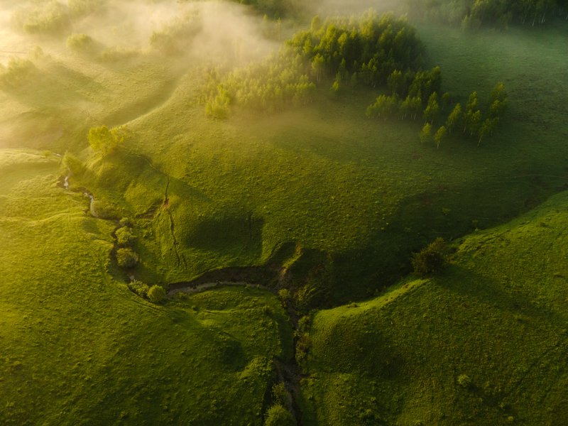 Aerial drone view of a green valley with a winding stream, hill with birch trees and light fog in morning light. Organic composition, soft warm light. Awarded photograph on 1x.com.