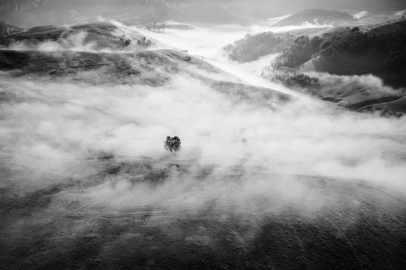 Aerial black-and-white view: a lone tree on a hillside wrapped by waves of white fog, minimalist landscape with hills in the distance. Fine-art composition, high contrast. Published on 1x.com.