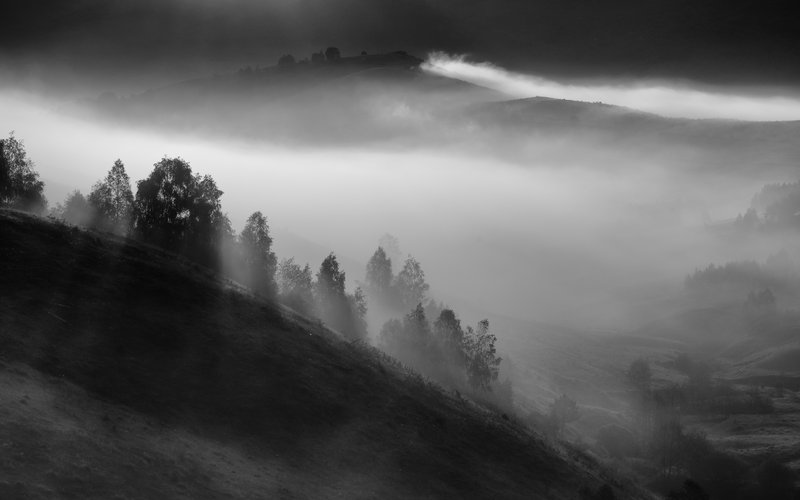 Black-and-white landscape with hills and birch trees framed by fog layers, moody and quiet atmosphere. Monochromatic composition emphasizing texture and volume. Published on 1x.com.
