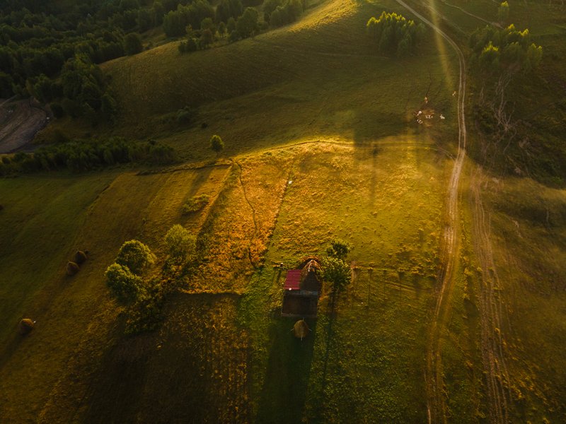 Aerial drone view of a small rural homestead with haystacks at the edge of a golden field, winding road, long shadows at golden hour. Peaceful composition, vertical perspective. Awarded photograph on 1x.com.