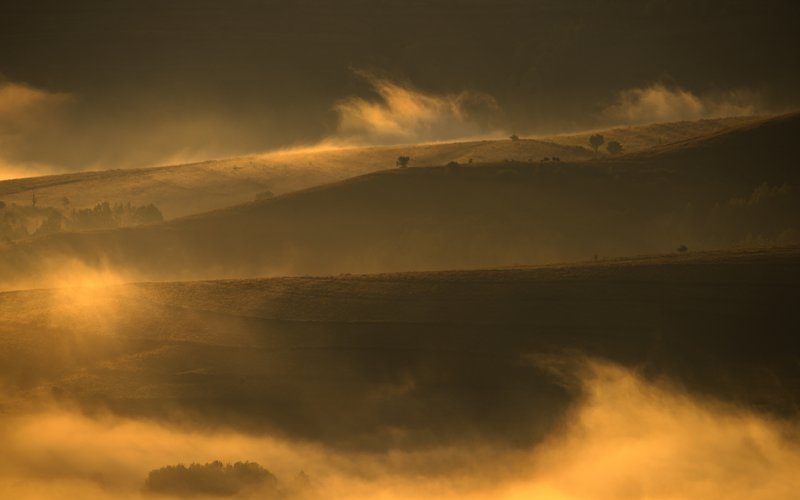 Rolling hills at sunrise in ochre-golden tones, with waves of warm fog wrapping the valleys. Atmospheric composition, backlit light. Published on 1x.com.