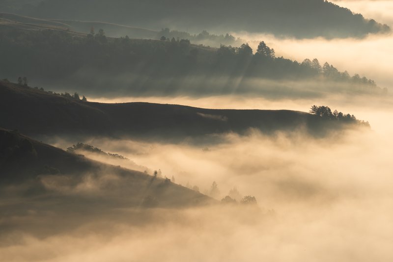 Layered wooded hills in morning light with waves of fog flowing between ridges. Sun rays piercing through the mist create a mystical atmosphere, rich aerial perspective. Published on 1x.com.