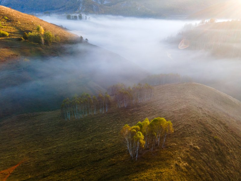 Morning aerial drone view: valley wrapped in dense low fog, rolling hills with scattered birch clusters, quiet autumn atmosphere. Pastel tones. Published on 1x.com.