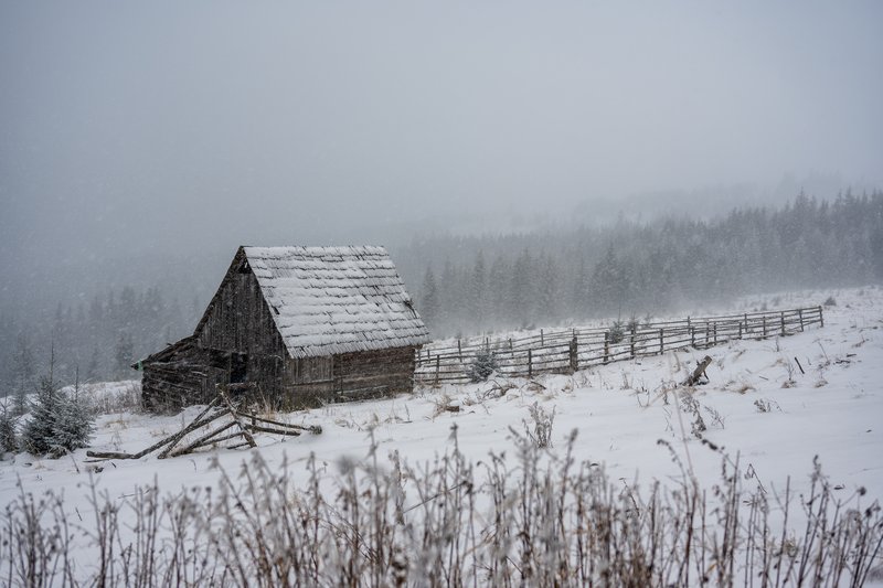 Traditional wooden house with snow-covered roof on a day of gentle snowfall. Winding wooden fence, spruce forest in the distance through winter mist. Quiet atmosphere of isolation. Published on 1x.com.