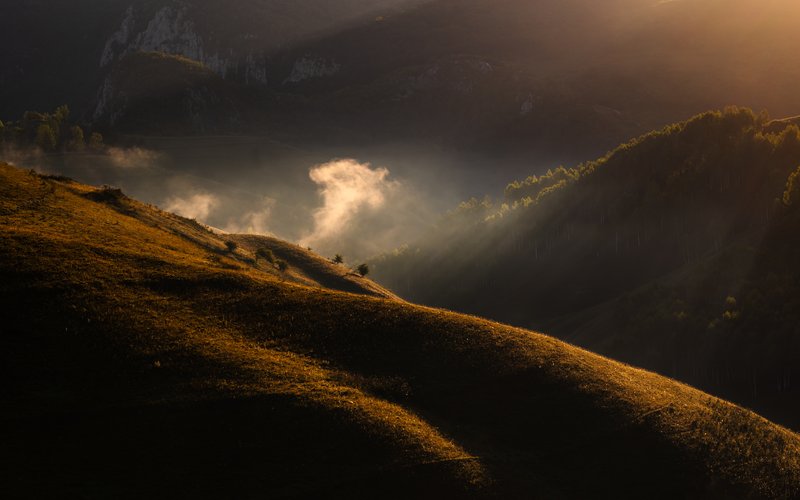 Rolling hills at sunrise, sun rays creating light beams piercing waves of fog over wooded valleys. Dramatic light, layered composition. Published on 1x.com.