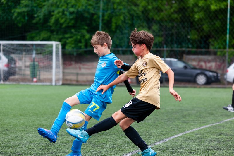 LionCubs vs Viitorul